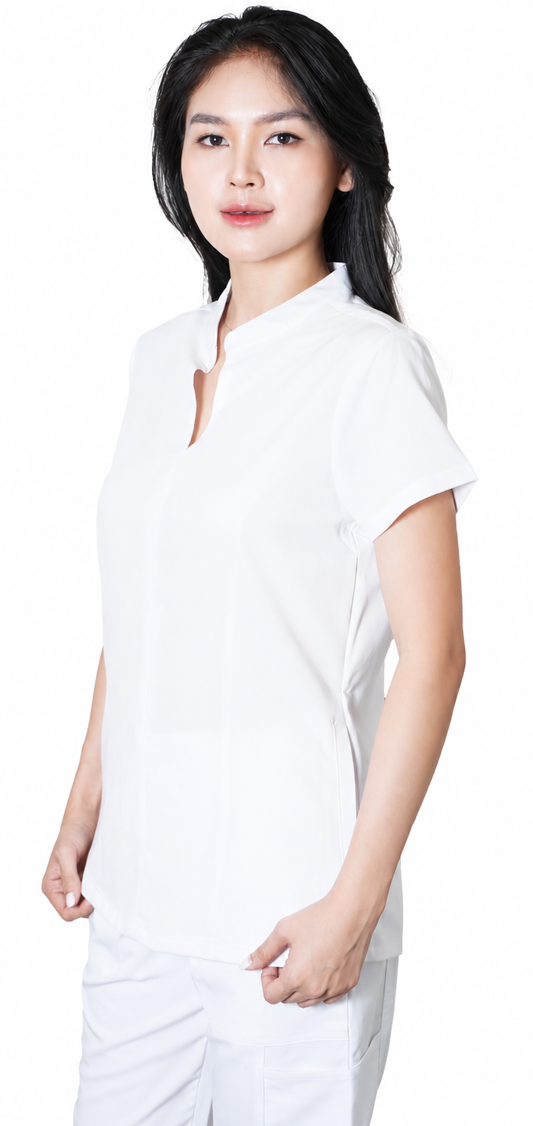 Notched V-Neck with Mandarin Collar 545
